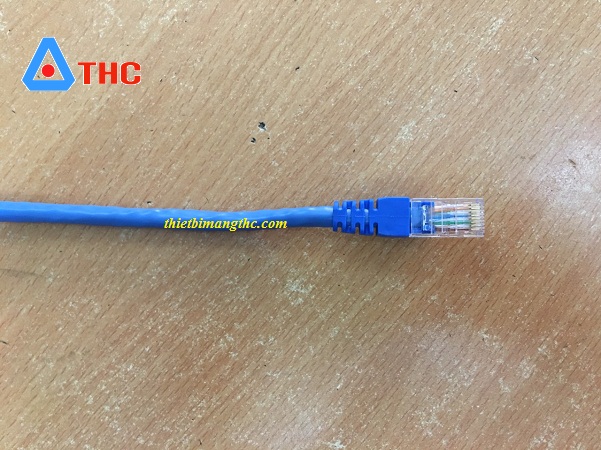 Đầu chụp có tai màu xanh cat6